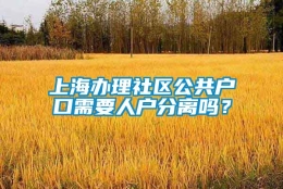 上海办理社区公共户口需要人户分离吗？