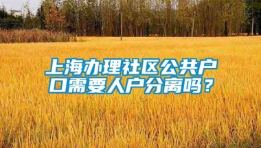 上海办理社区公共户口需要人户分离吗？