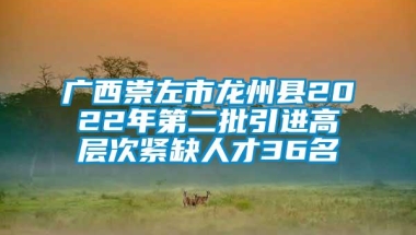 广西崇左市龙州县2022年第二批引进高层次紧缺人才36名