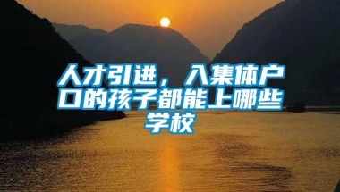 人才引进，入集体户口的孩子都能上哪些学校