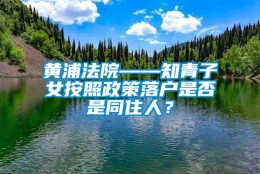 黄浦法院——知青子女按照政策落户是否是同住人？