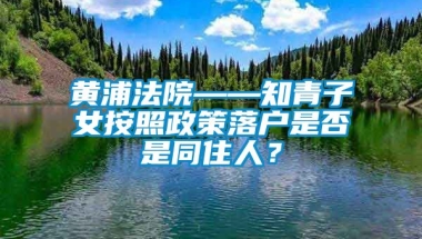 黄浦法院——知青子女按照政策落户是否是同住人？