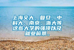 上海交大、复旦、中科大、南京、浙大等这些大学的强项以及就业前景。