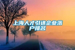 上海人才引进企业落户排名