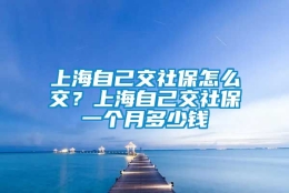 上海自己交社保怎么交？上海自己交社保一个月多少钱