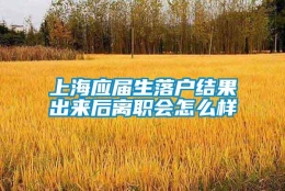 上海应届生落户结果出来后离职会怎么样