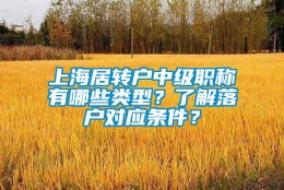 上海居转户中级职称有哪些类型？了解落户对应条件？