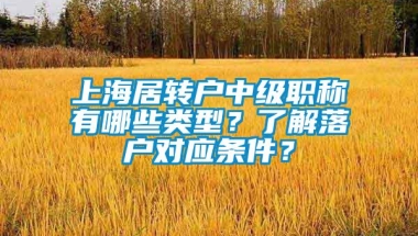 上海居转户中级职称有哪些类型？了解落户对应条件？