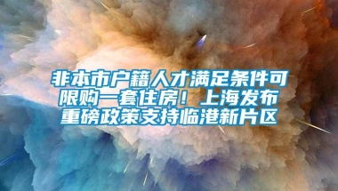 非本市户籍人才满足条件可限购一套住房！上海发布重磅政策支持临港新片区