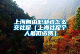 上海自由职业者怎么交社保（上海社保个人最低缴费）