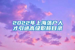 2022年上海落户人才引进高级职称目录