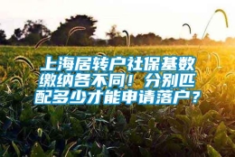 上海居转户社保基数缴纳各不同！分别匹配多少才能申请落户？