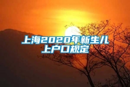 上海2020年新生儿上户口规定