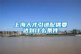 上海人才引进配偶要达到什么条件