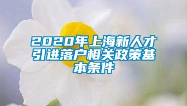 2020年上海新人才引进落户相关政策基本条件