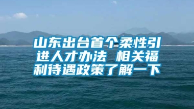 山东出台首个柔性引进人才办法 相关福利待遇政策了解一下