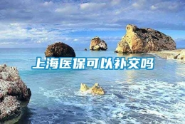 上海医保可以补交吗