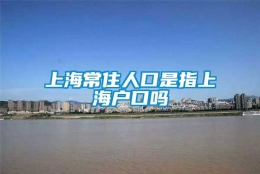 上海常住人口是指上海户口吗