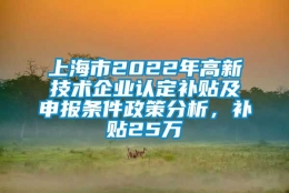 上海市2022年高新技术企业认定补贴及申报条件政策分析，补贴25万