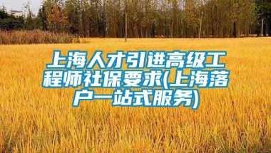 上海人才引进高级工程师社保要求(上海落户一站式服务)