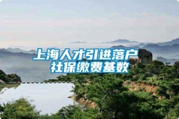 上海人才引进落户 社保缴费基数