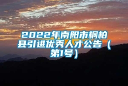 2022年南阳市桐柏县引进优秀人才公告（第1号）