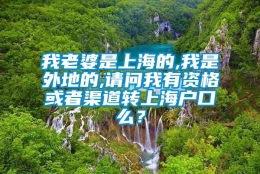 我老婆是上海的,我是外地的,请问我有资格或者渠道转上海户口么？