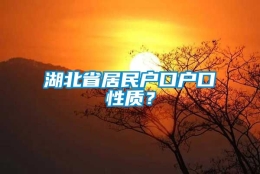 湖北省居民户口户口性质？