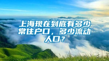 上海现在到底有多少常住户口，多少流动人口？