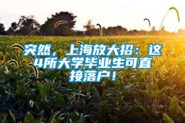 突然，上海放大招：这4所大学毕业生可直接落户！