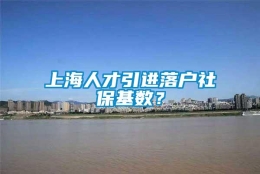 上海人才引进落户社保基数？