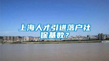 上海人才引进落户社保基数？