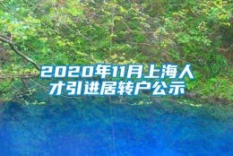 2020年11月上海人才引进居转户公示