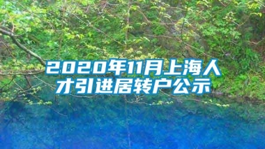 2020年11月上海人才引进居转户公示