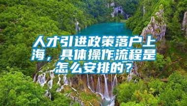 人才引进政策落户上海，具体操作流程是怎么安排的？