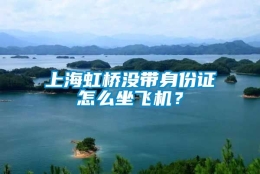 上海虹桥没带身份证怎么坐飞机？