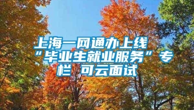 上海一网通办上线“毕业生就业服务”专栏 可云面试