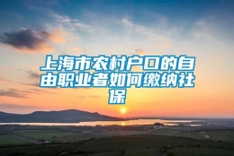 上海市农村户口的自由职业者如何缴纳社保