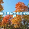 留学生会怎么咨询落户