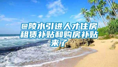 @陵水引进人才住房租赁补贴和购房补贴来了