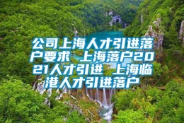 公司上海人才引进落户要求 上海落户2021人才引进 上海临港人才引进落户