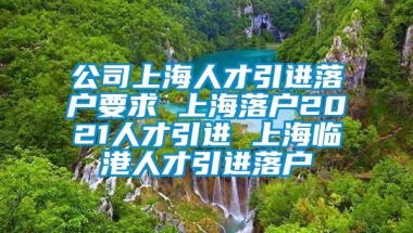 公司上海人才引进落户要求 上海落户2021人才引进 上海临港人才引进落户