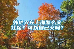 外地人在上海怎么交社保？可以自己交吗？