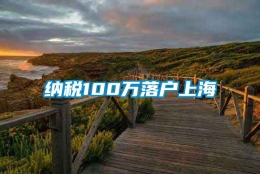 纳税100万落户上海