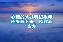 办理的人才引进半年还没有下来，我该怎么办