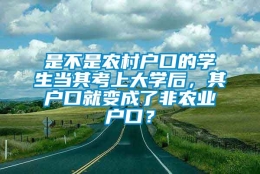 是不是农村户口的学生当其考上大学后，其户口就变成了非农业户口？