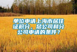 单位申请上海市居住证积分，总公司和分公司申请的条件？