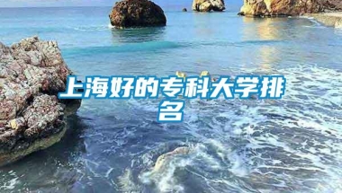 上海好的专科大学排名