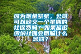 因为现金紧张，公司可以晚交一个星期的社保费吗？如果延迟缴纳社保会面临什么惩罚？