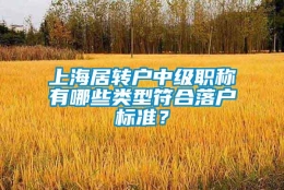 上海居转户中级职称有哪些类型符合落户标准？